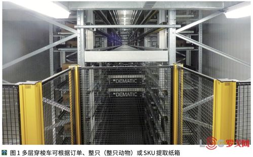 澳大利亞NCMC肉類(lèi)加工廠(chǎng)提高競(jìng)爭(zhēng)力的秘訣 自動(dòng)化物流系統(tǒng)與計(jì)算機(jī)系統(tǒng)集成服務(wù)